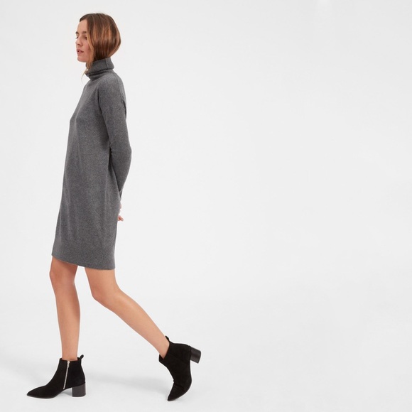 Everlane Dresses & Skirts - Everlane Cashmere Turtleneck Dress
